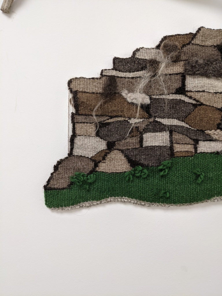 Shetland College Project 2021