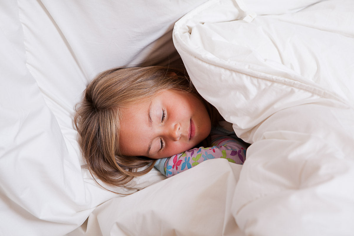 Real Shetland Wool Duvets