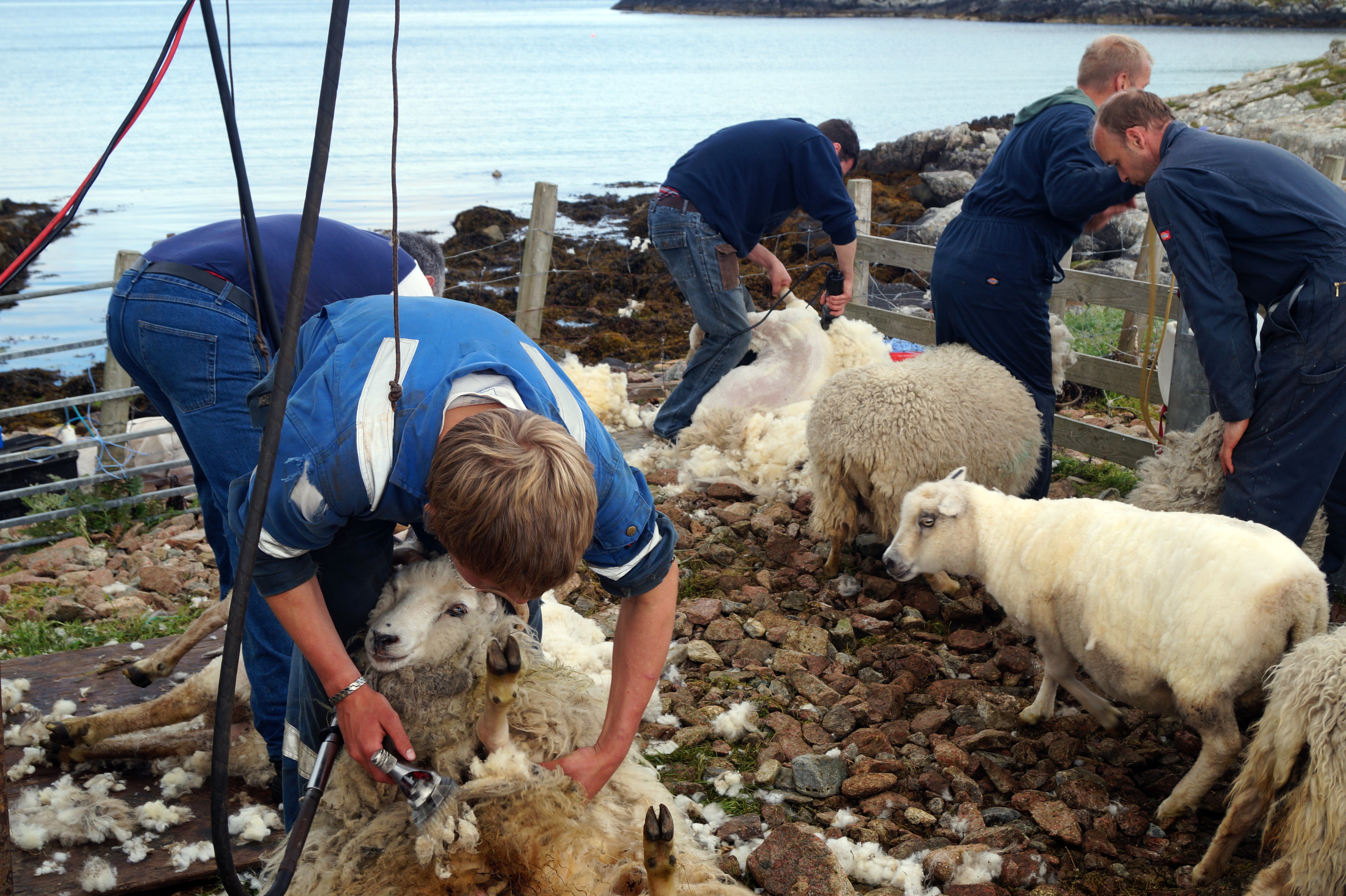 Ollies Visit to Papa