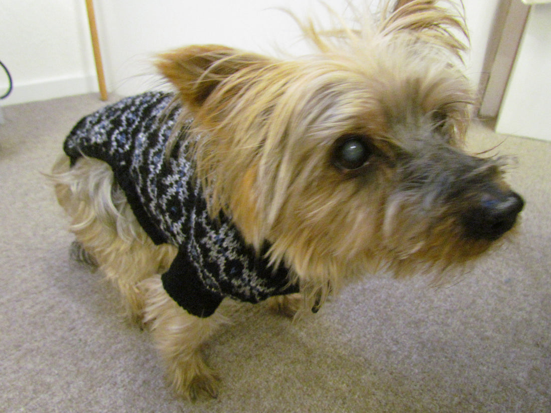 Toby's Christmas fashion