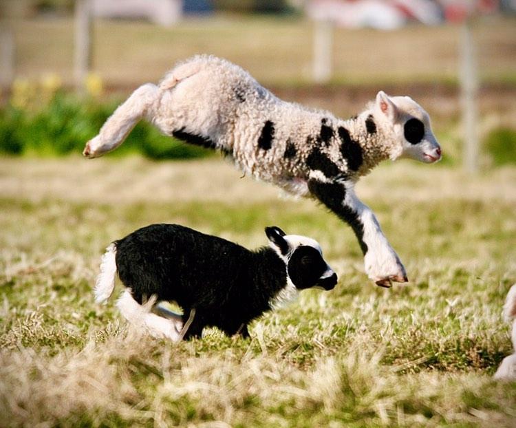 Flecket Friday Cheeriness!