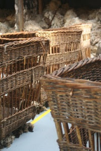 Wool around the world