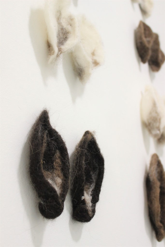 Shetland College Project 2020