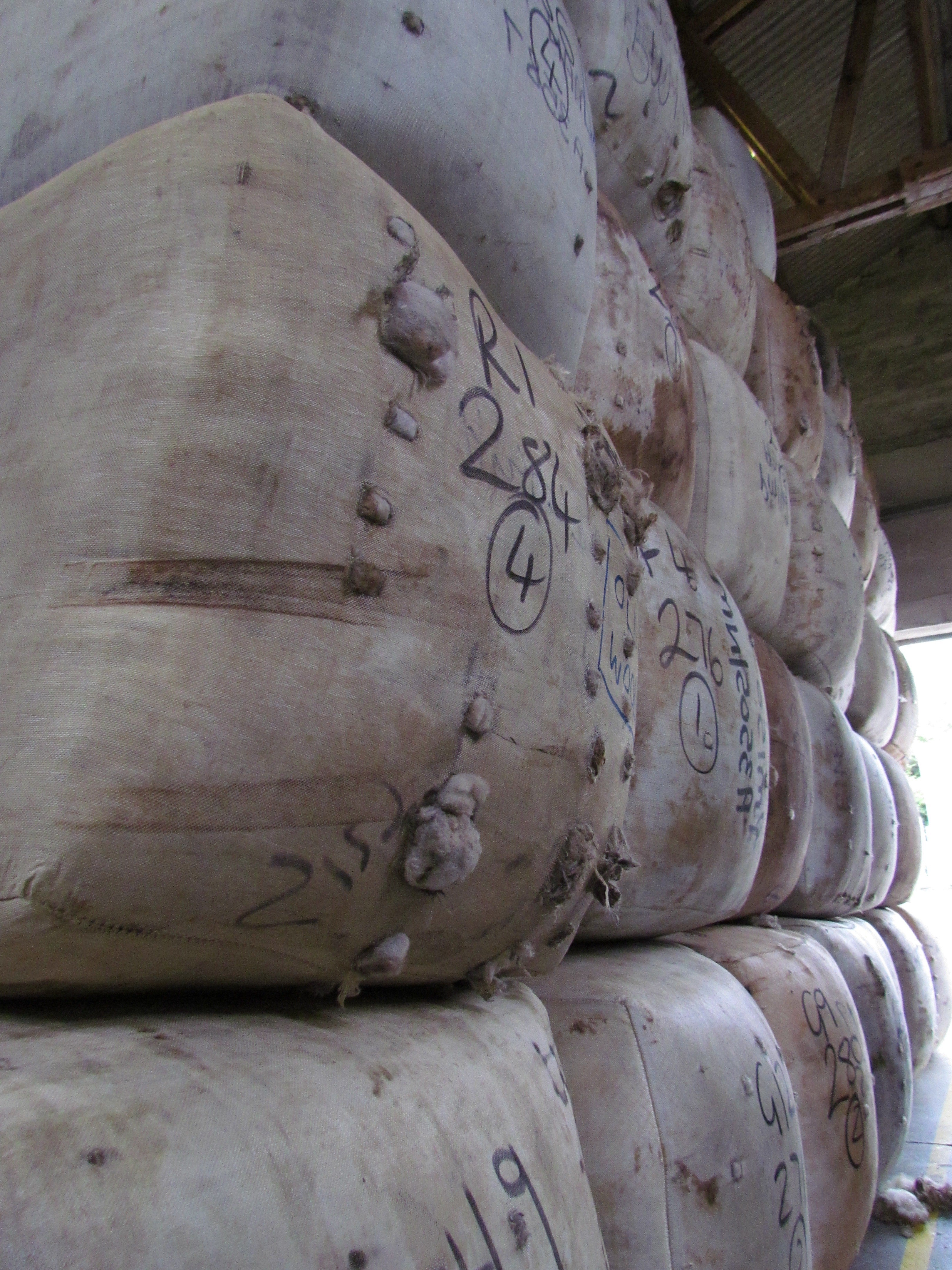 Shetland's Wool Season kicks off