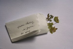 A little bit of Japan, and a thankyou