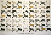 Sheep Poster