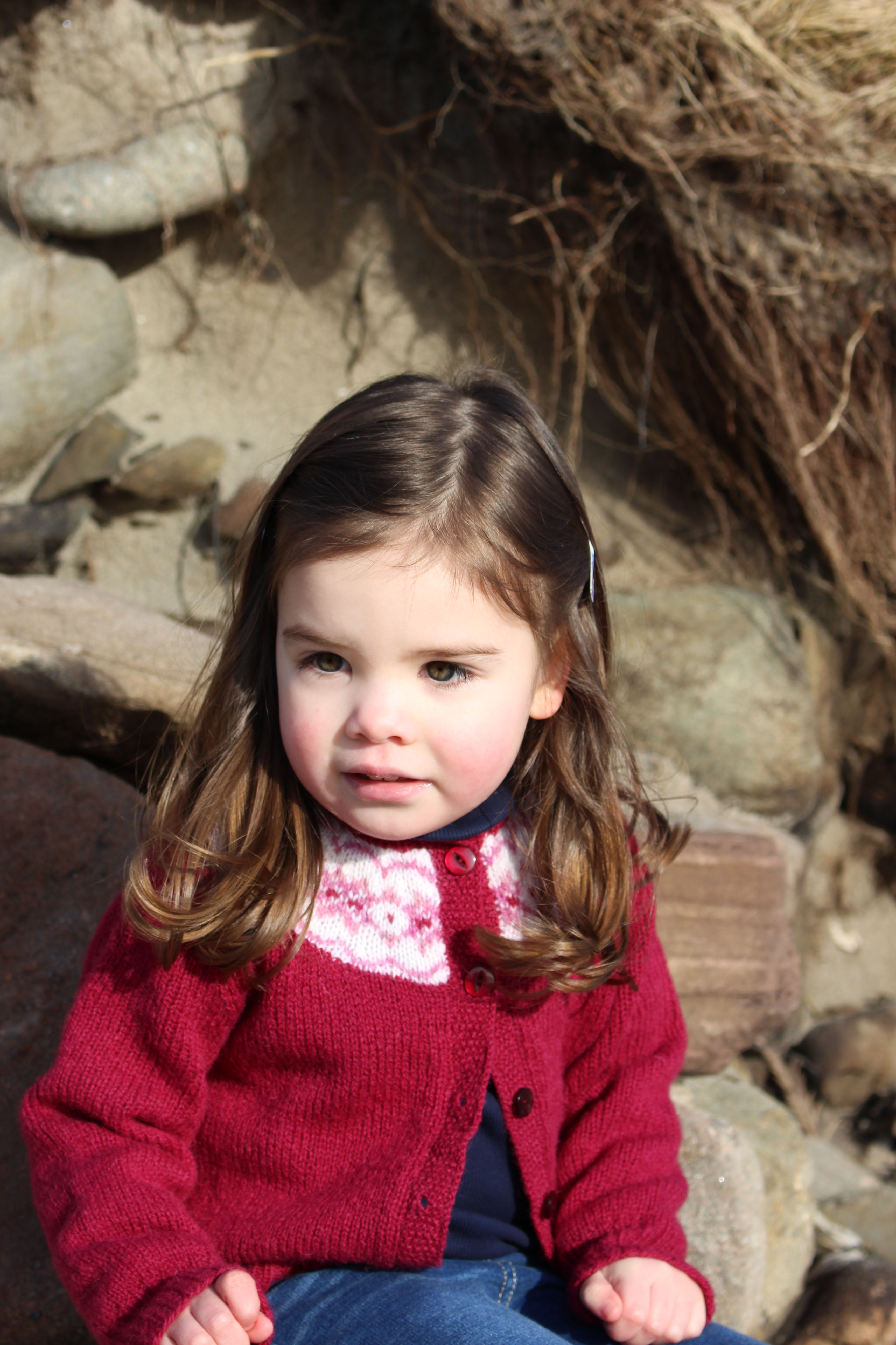 Natalia Yoke Pattern
