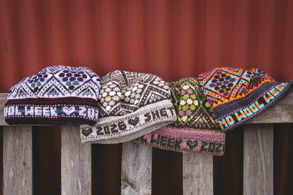 Birsie Beanny Pattern