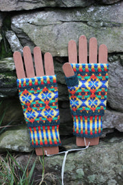 Parrots of the Rainforest Mitts pattern
