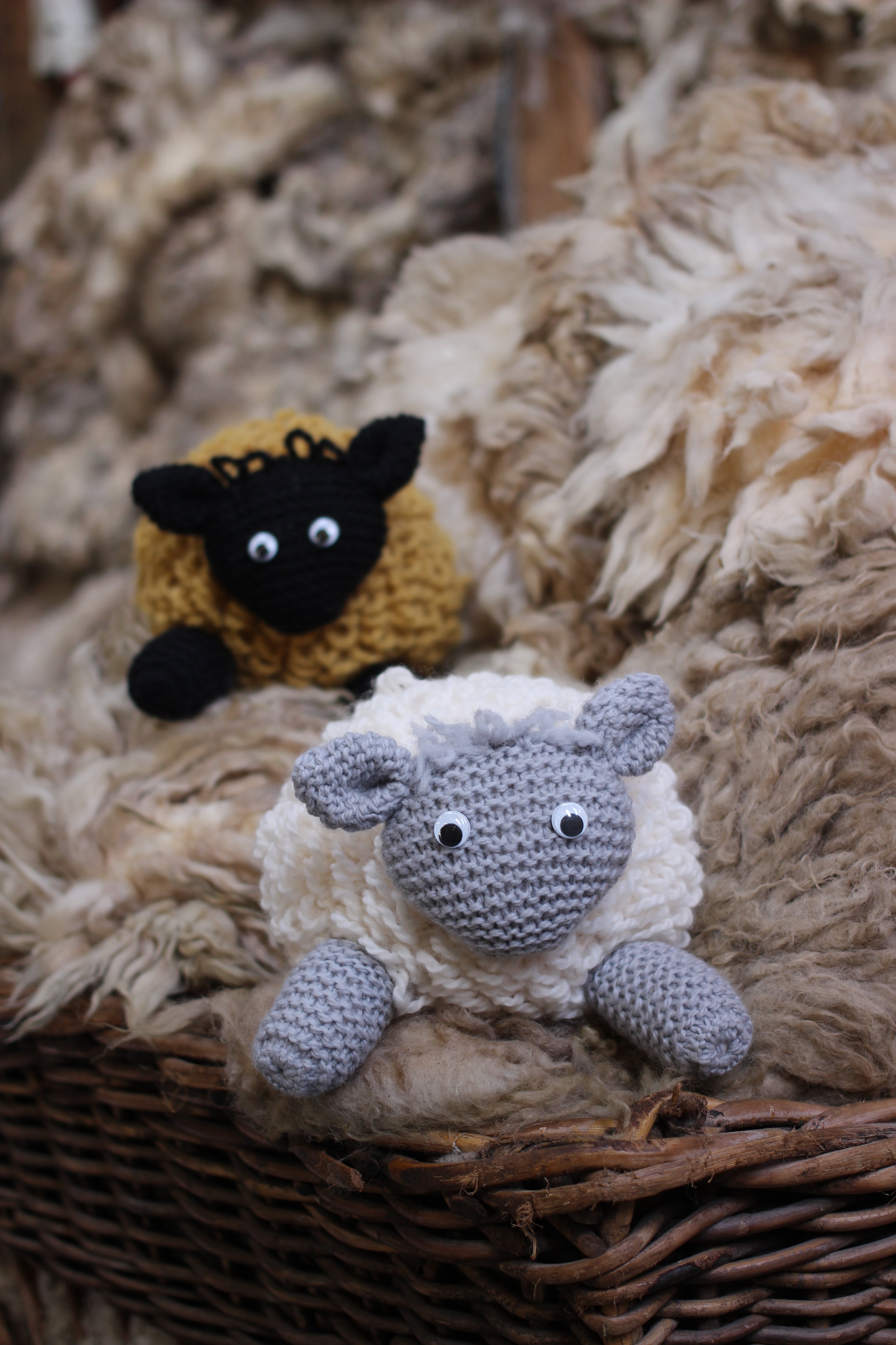 Peerie Sheep pattern
