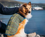 Sunbeam Dug Coat Kit